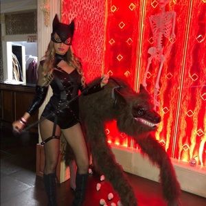 Halloween Costume Villainess Vixen